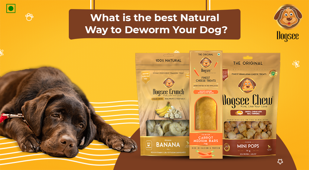 What is the best Natural Way to Deworm Your Dog Dogsee