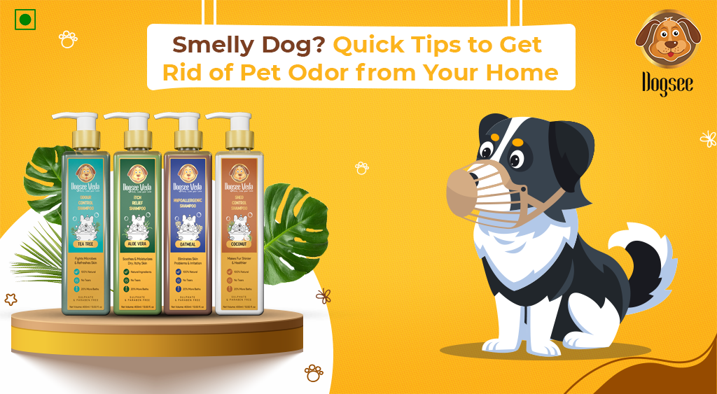 Tips to Get Rid of Pet Odor from Your Home