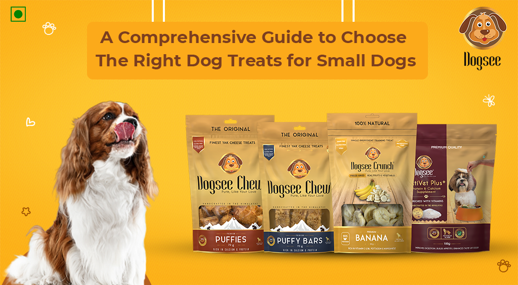 Guide to Choose The Right Dog Treats for Small Dogs