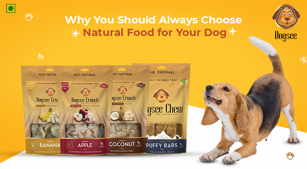 Why You Should Always Choose Natural Food for Your Dog