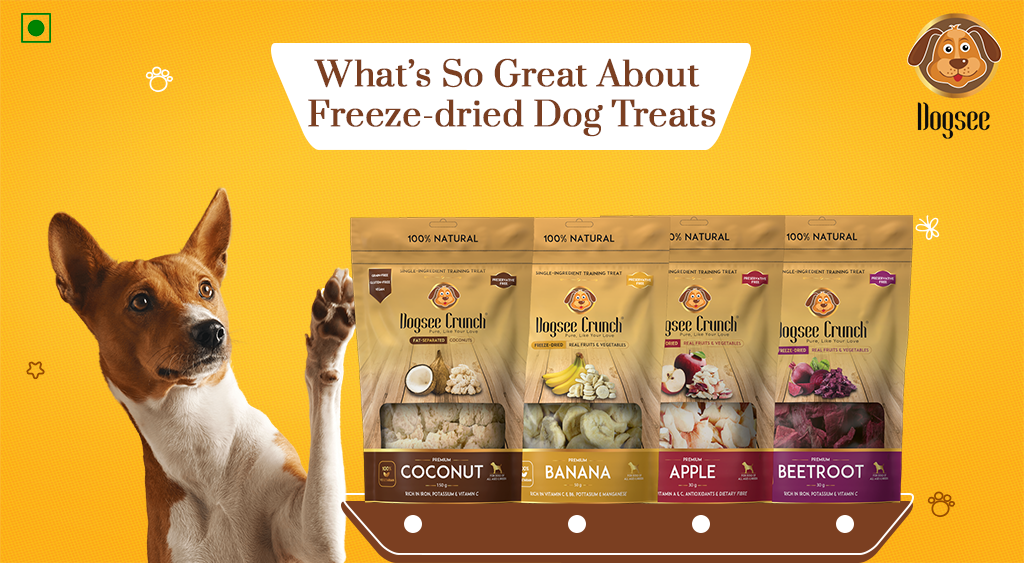 What's So Great About Freeze-dried Dog Treats