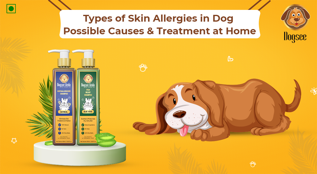 Skin Allergies in Dog