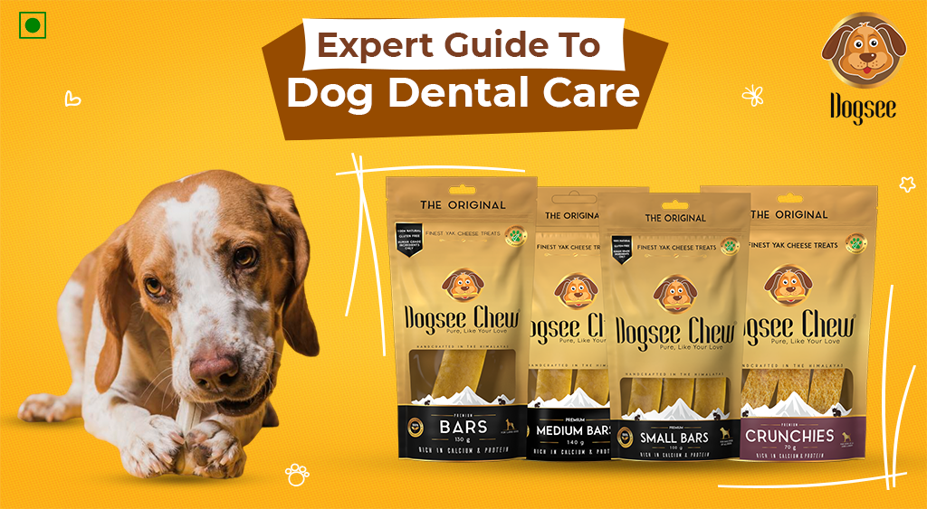 Expert Guide To Dog Dental Care