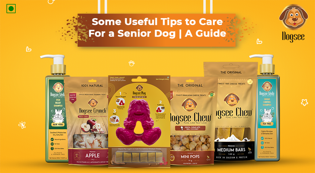 Some Useful Tips to Care For a Senior Dog