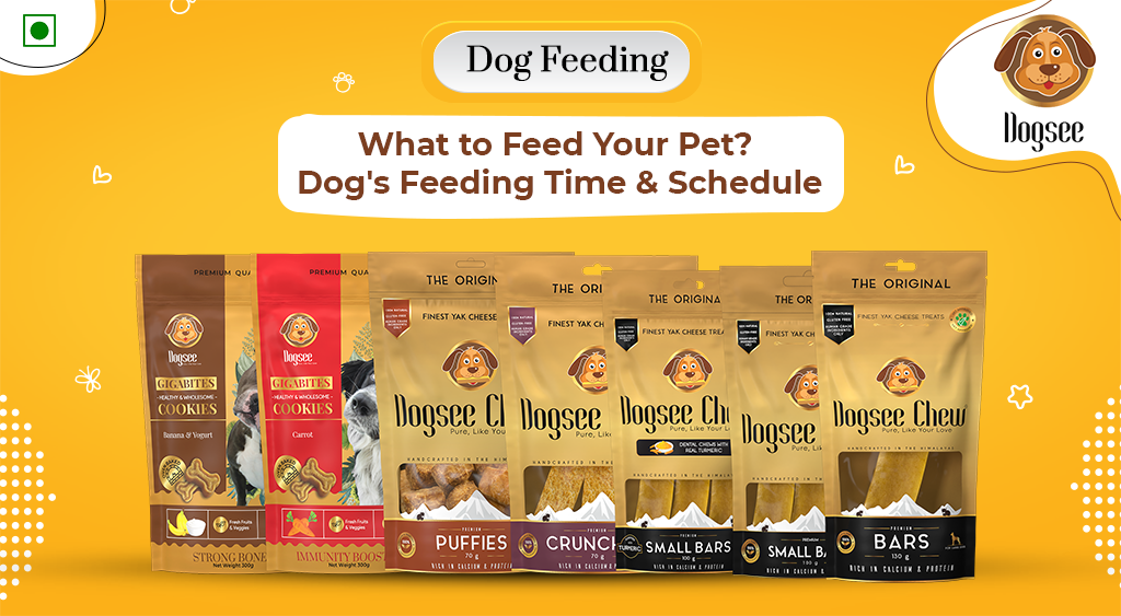 Dog Feeding