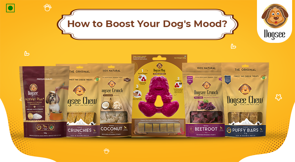 Boost Your Dog's Mood