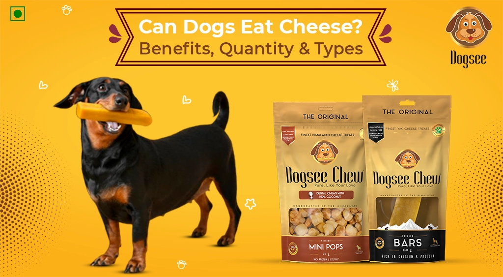 Can Dogs Eat Cheese