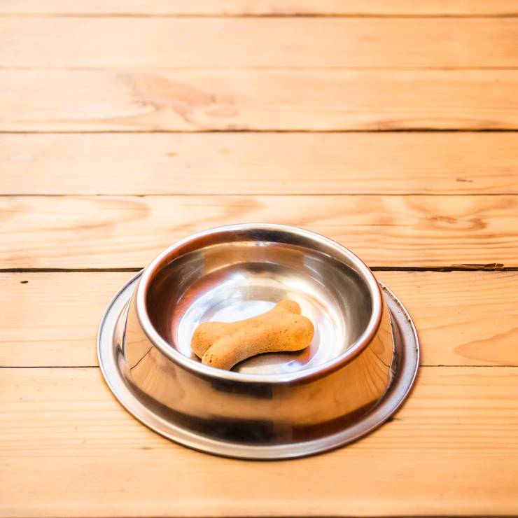 dog food bowl with bone
