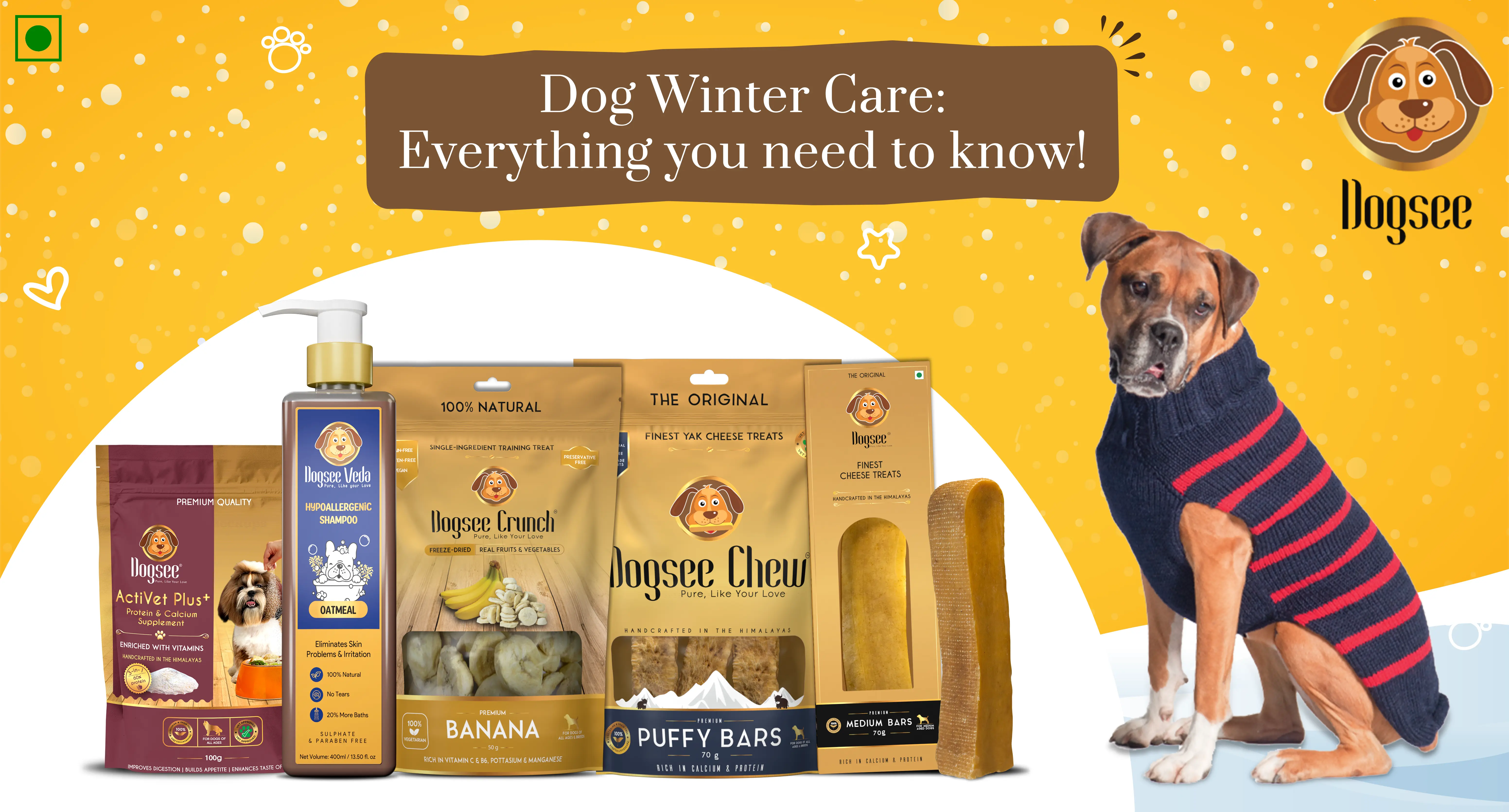 Dog Winter Care