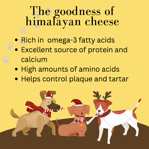 Goodness of Himalayan Cheese