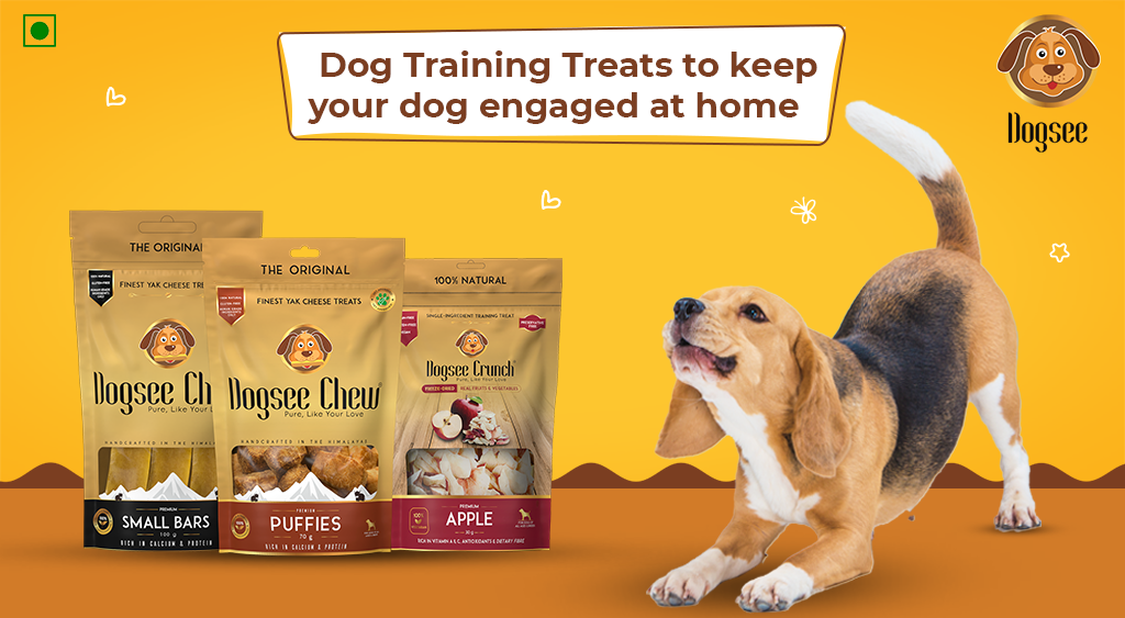 Dog Training Treats to keep your dog engaged at home