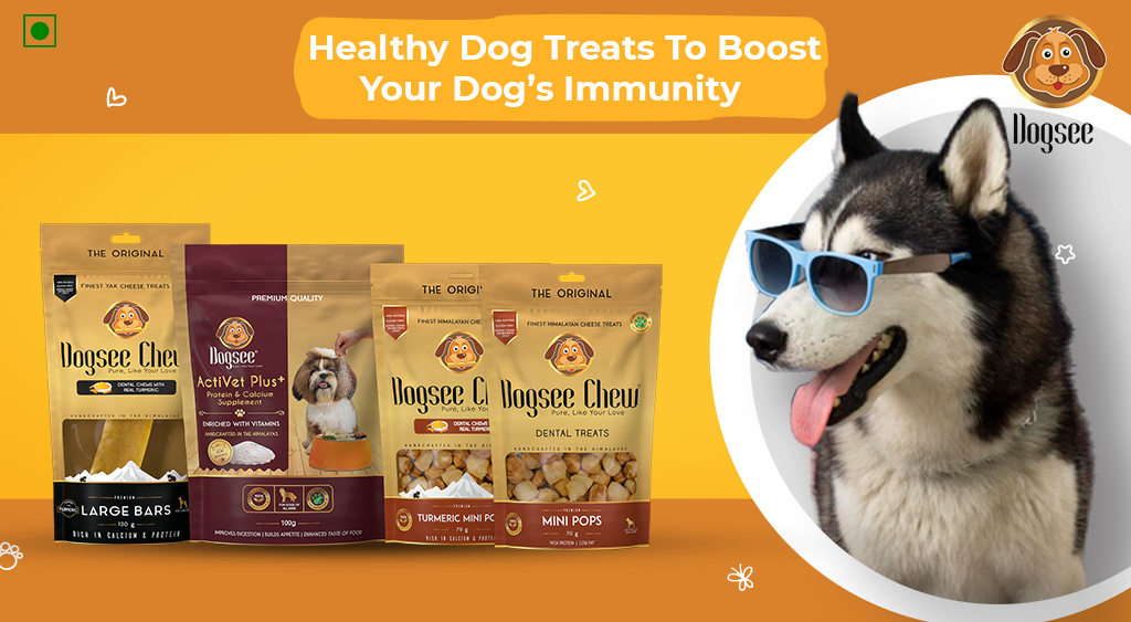 Healthy Dog Treats To Boost Your Dog’s Immunity