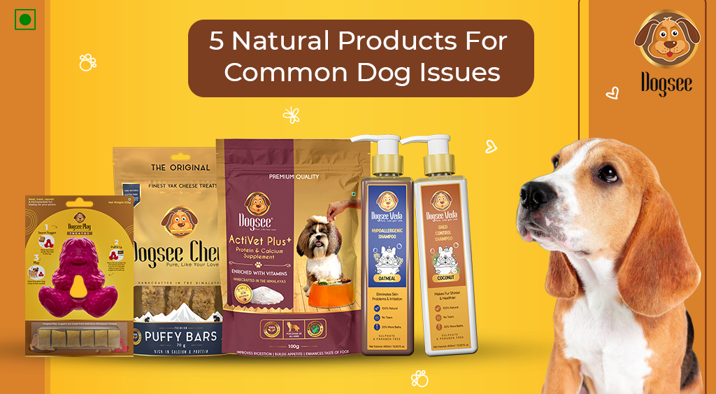 5 Natural Products For Common Dog Issues