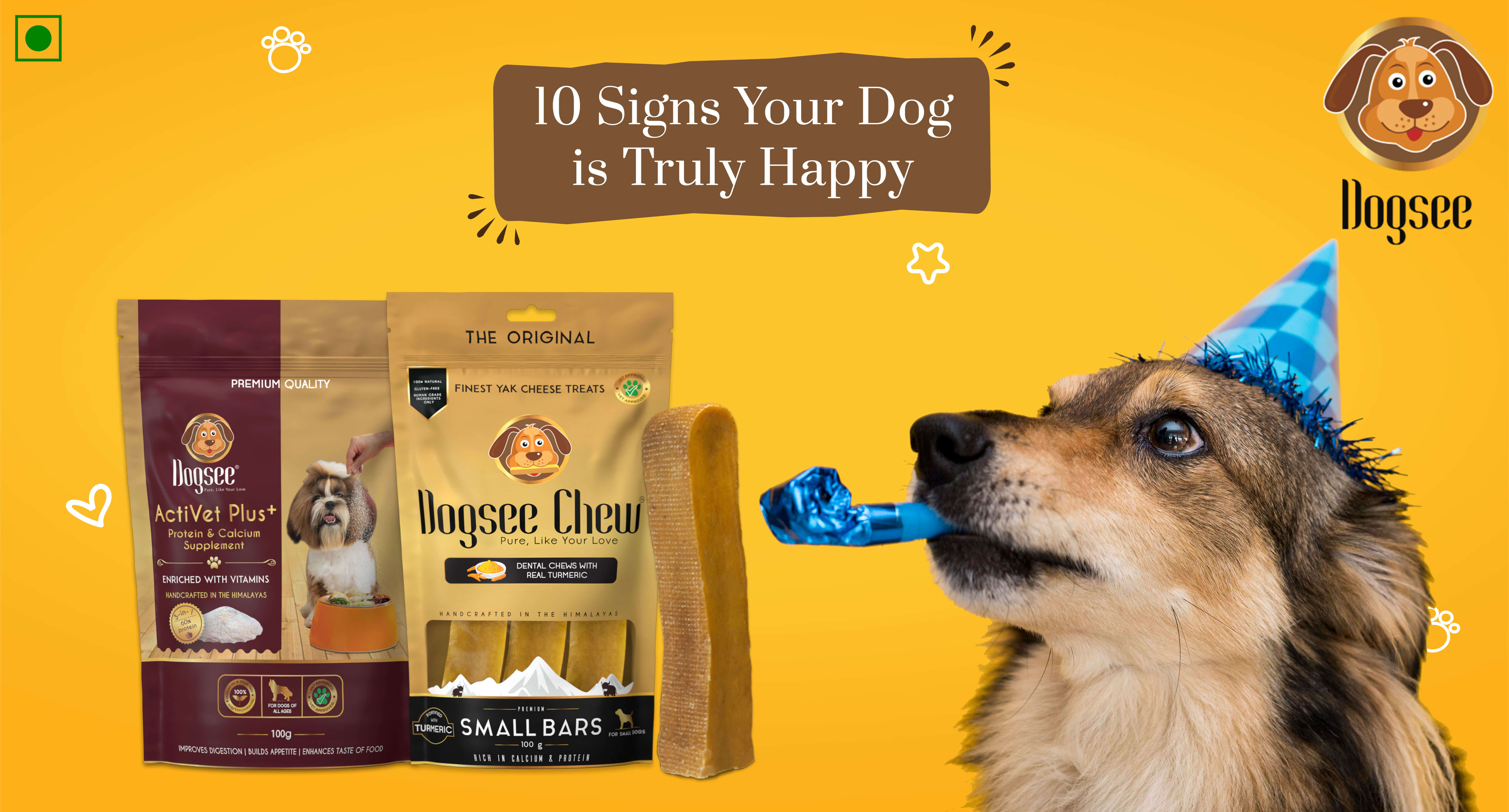 10 Signs Your Dog is Truly Happy