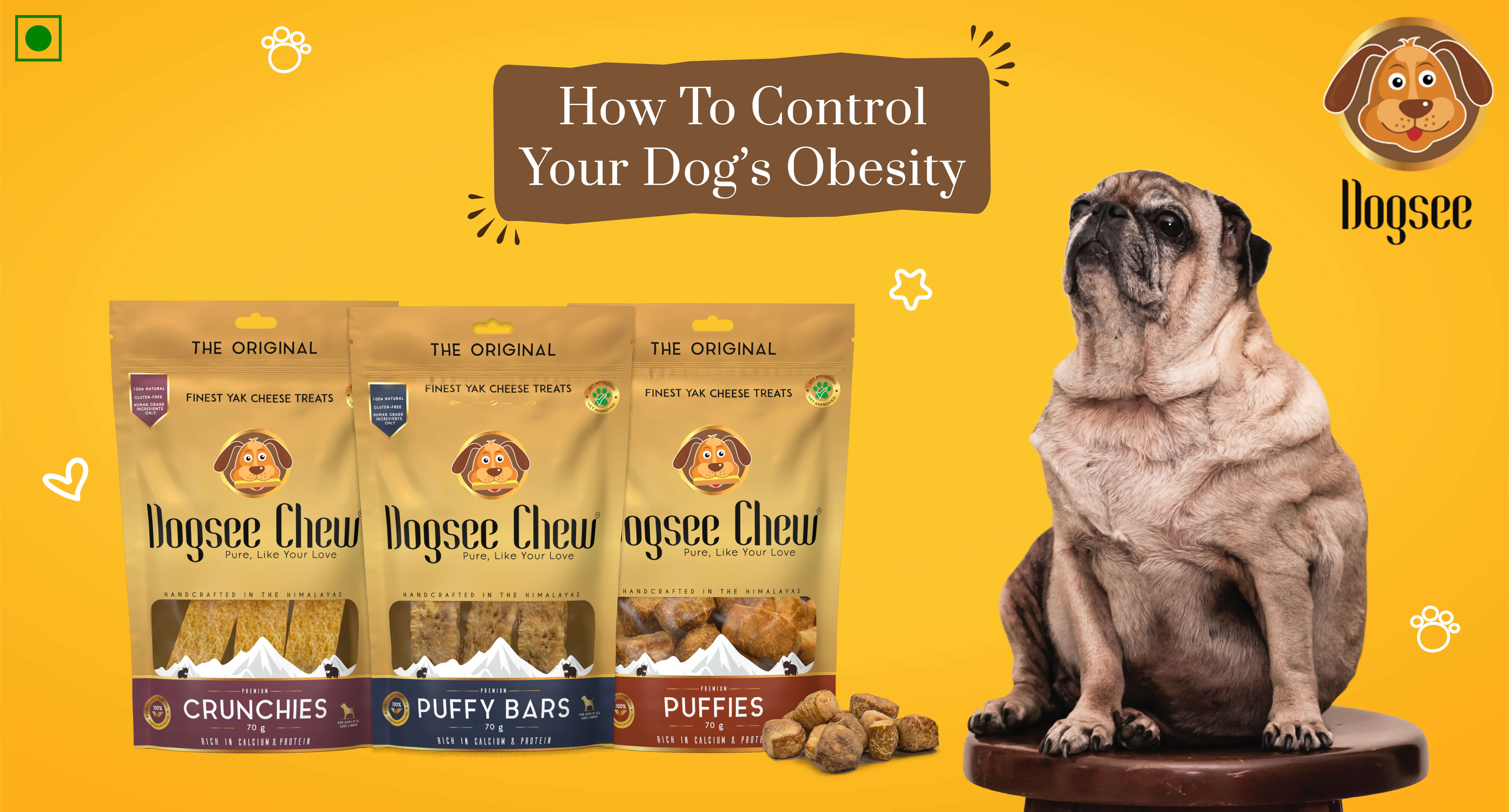 How To Control Your Dog’s Obesity