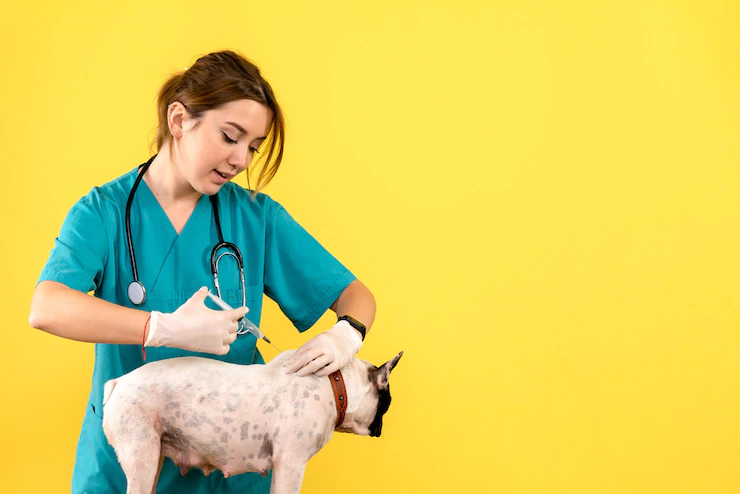 veterinarian injecting little dog