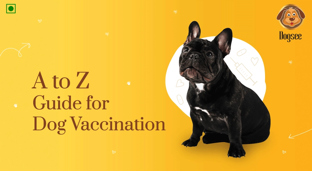 A to Z Guide for Dog Vaccination