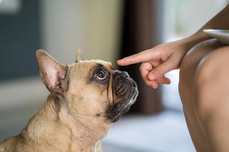 Bulldog Looking Child Finger