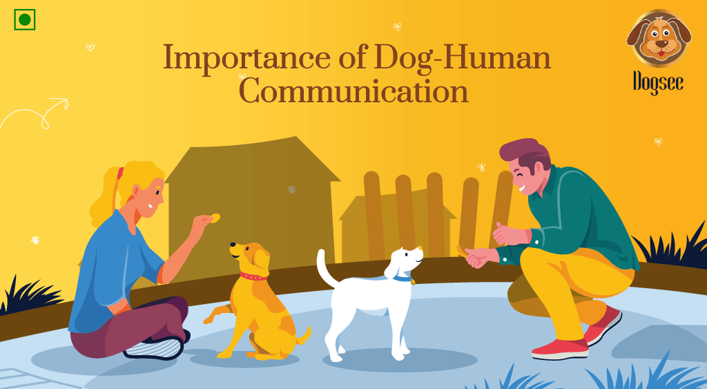 Importance of Dog-Human Communication