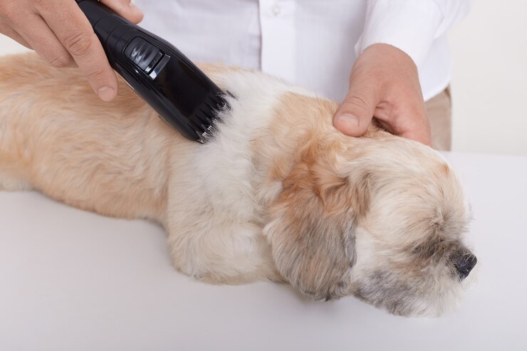 Cutting Dog Fur