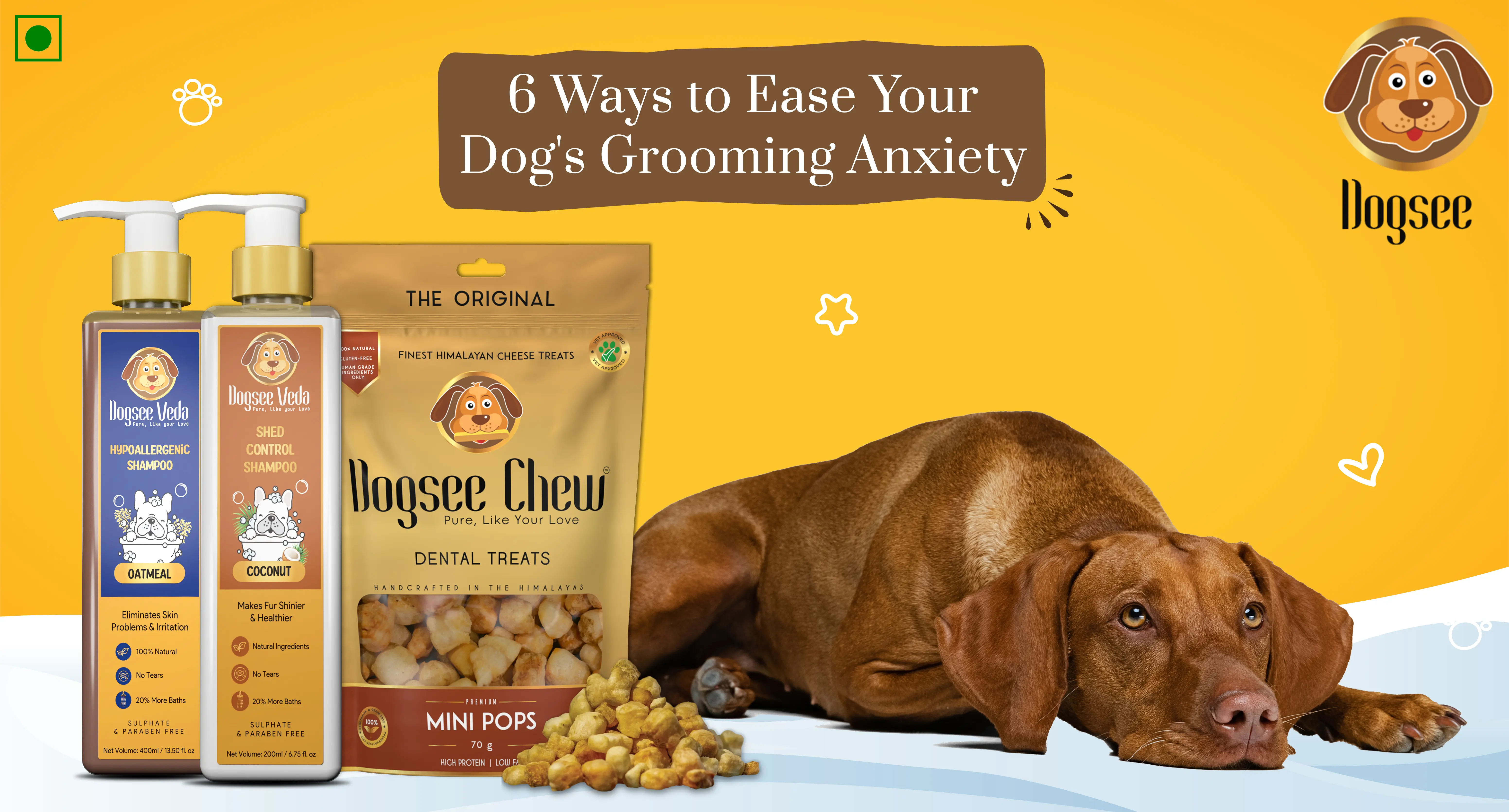 ﻿6 Ways to Ease Your Dog's Grooming Anxiety