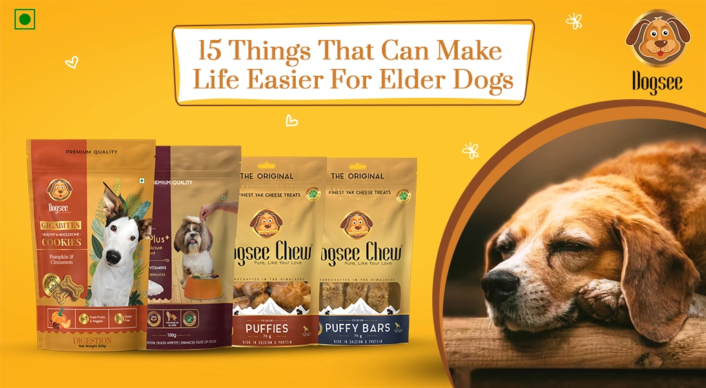 ﻿15 Things That Can Make Life Easier for Elderly Dogs