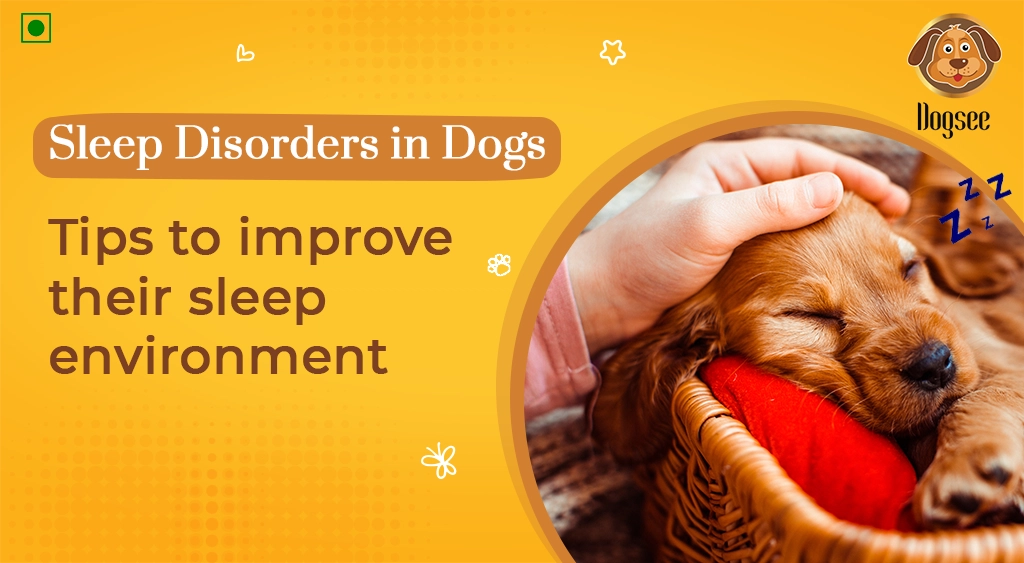 Sleep Disorders in Dogs