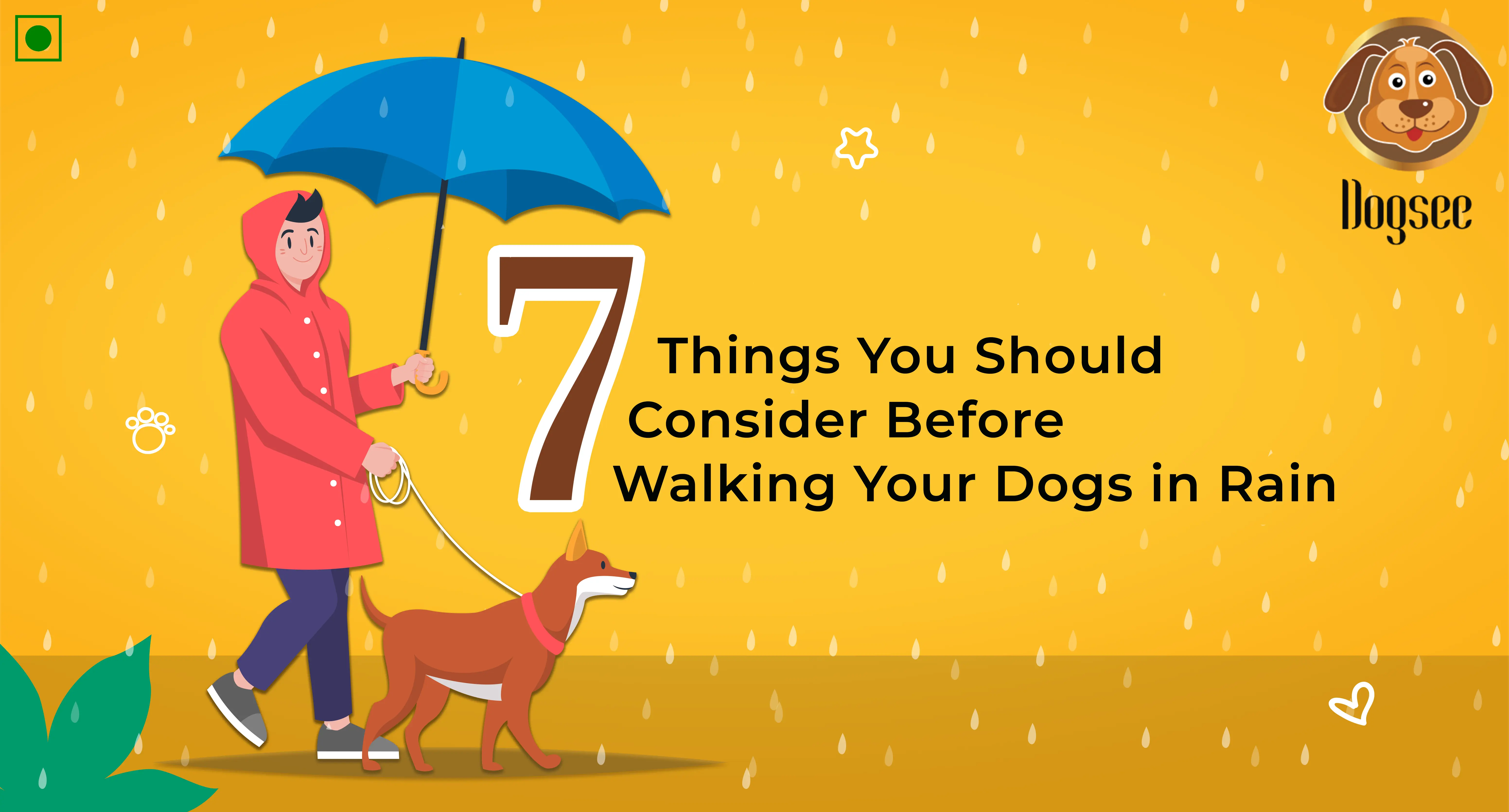 7 Things You Should Consider Before Walking Your Dogs in Rain