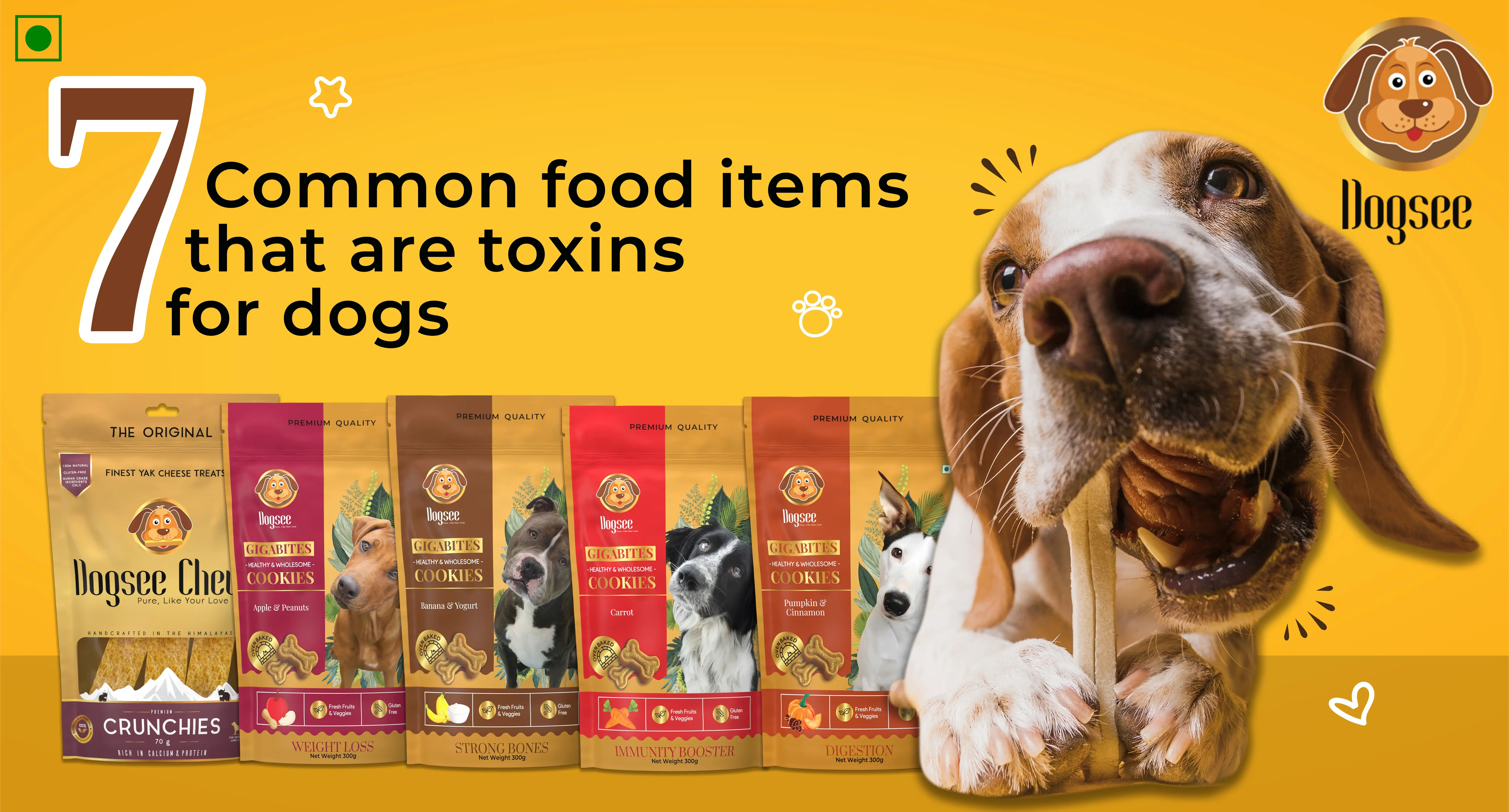 7 Common Food Items that are Toxins for Dogs