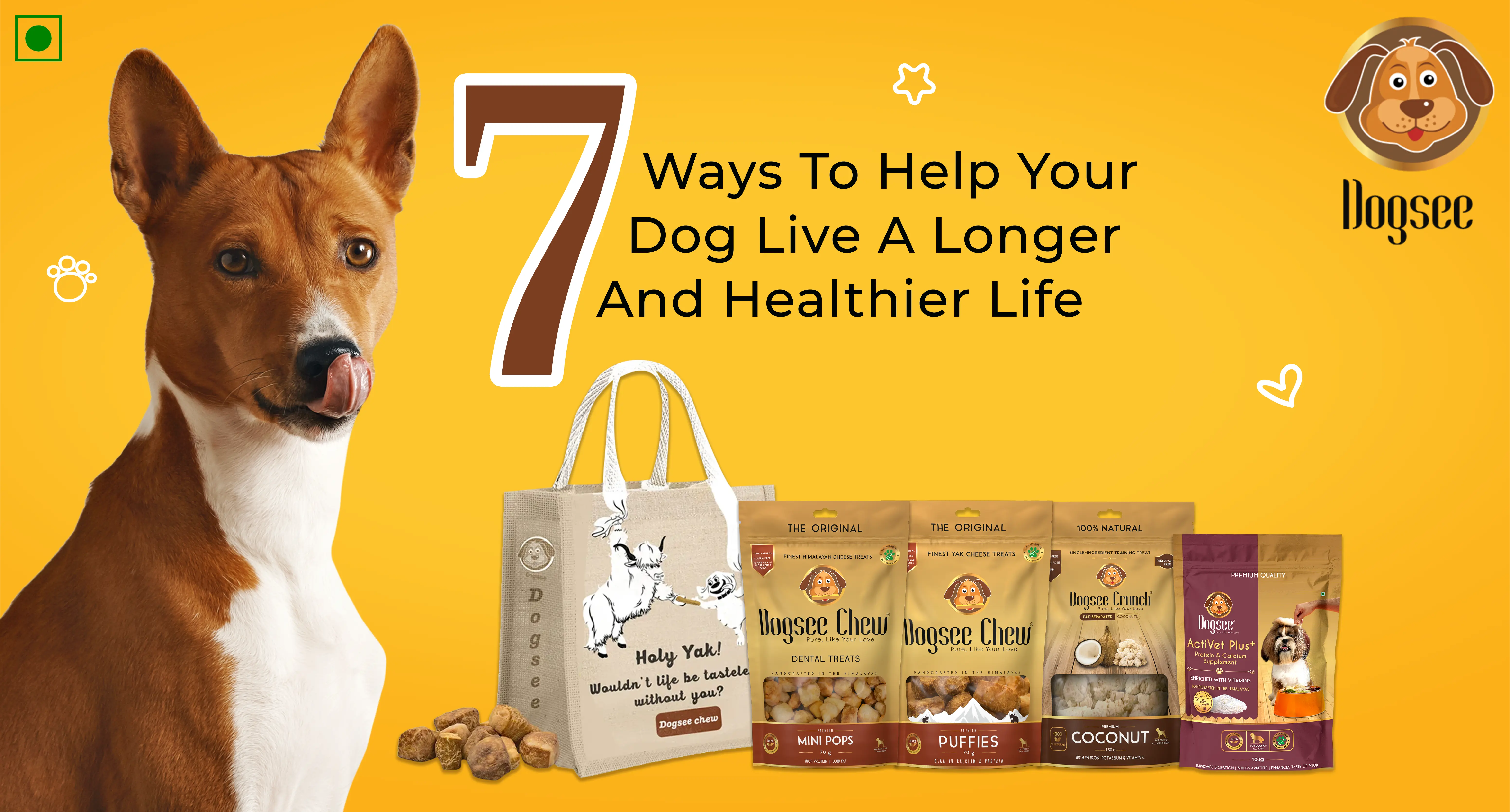 7 Ways To Help Your Dog Live A Longer And Healthier Life