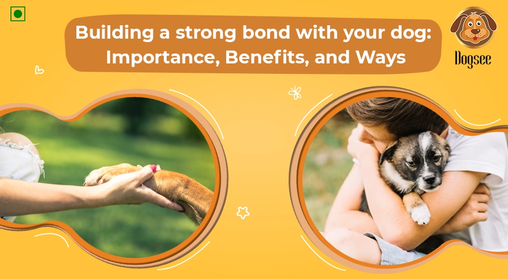 Building a Strong Bond with your Dog