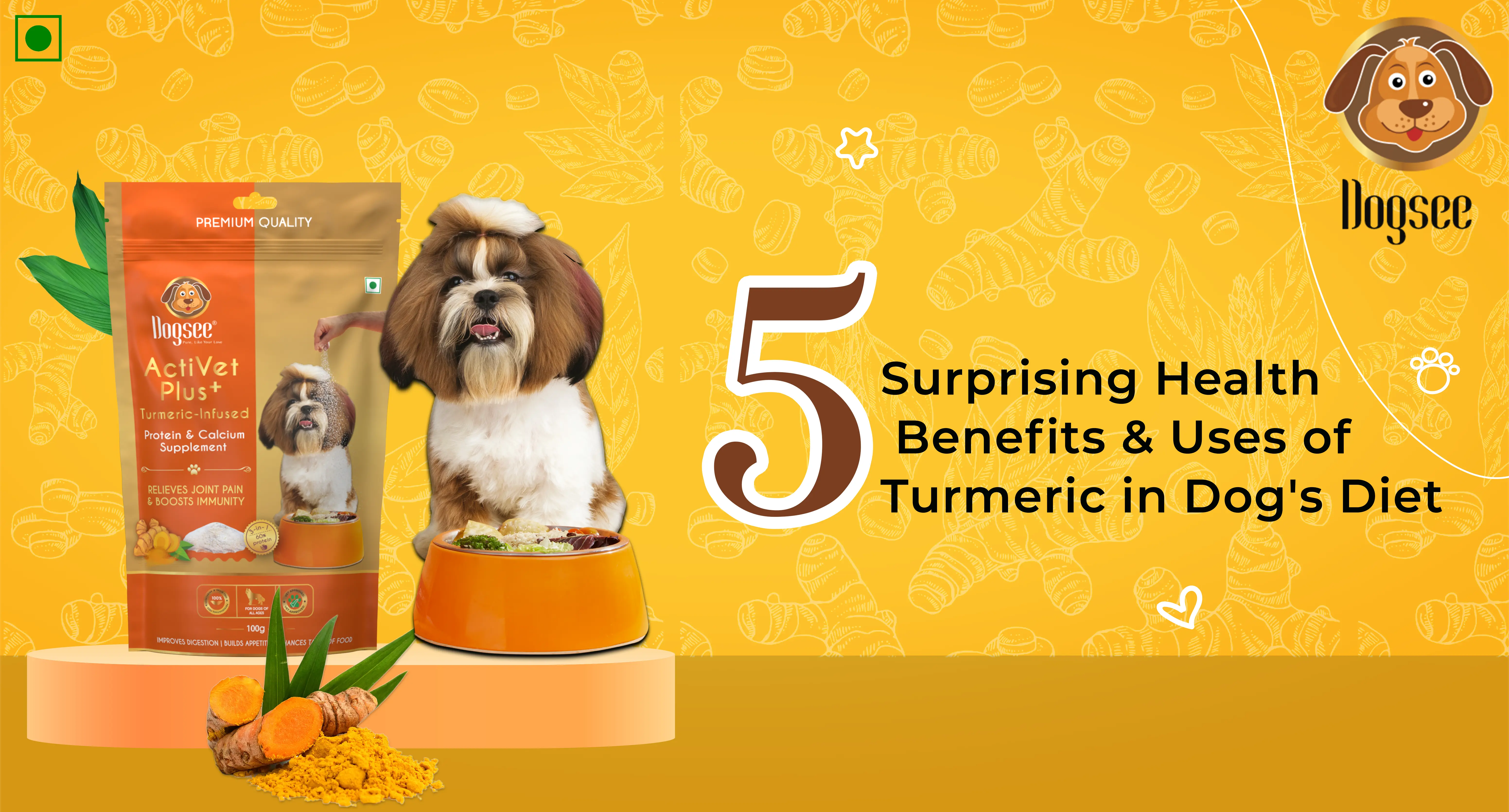 5 Surprising Health Benefits & Uses of Turmeric in Dog's Diet