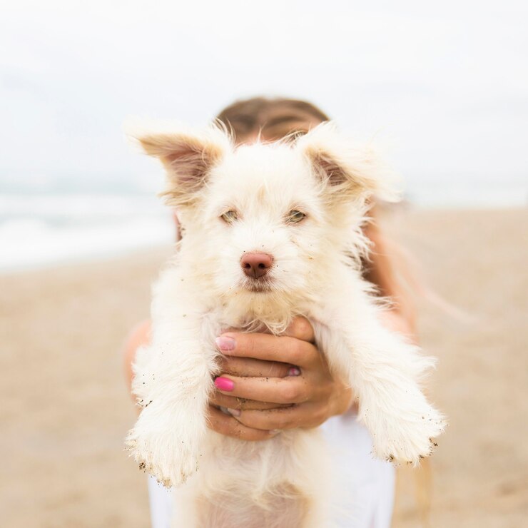 woman beach holding dog