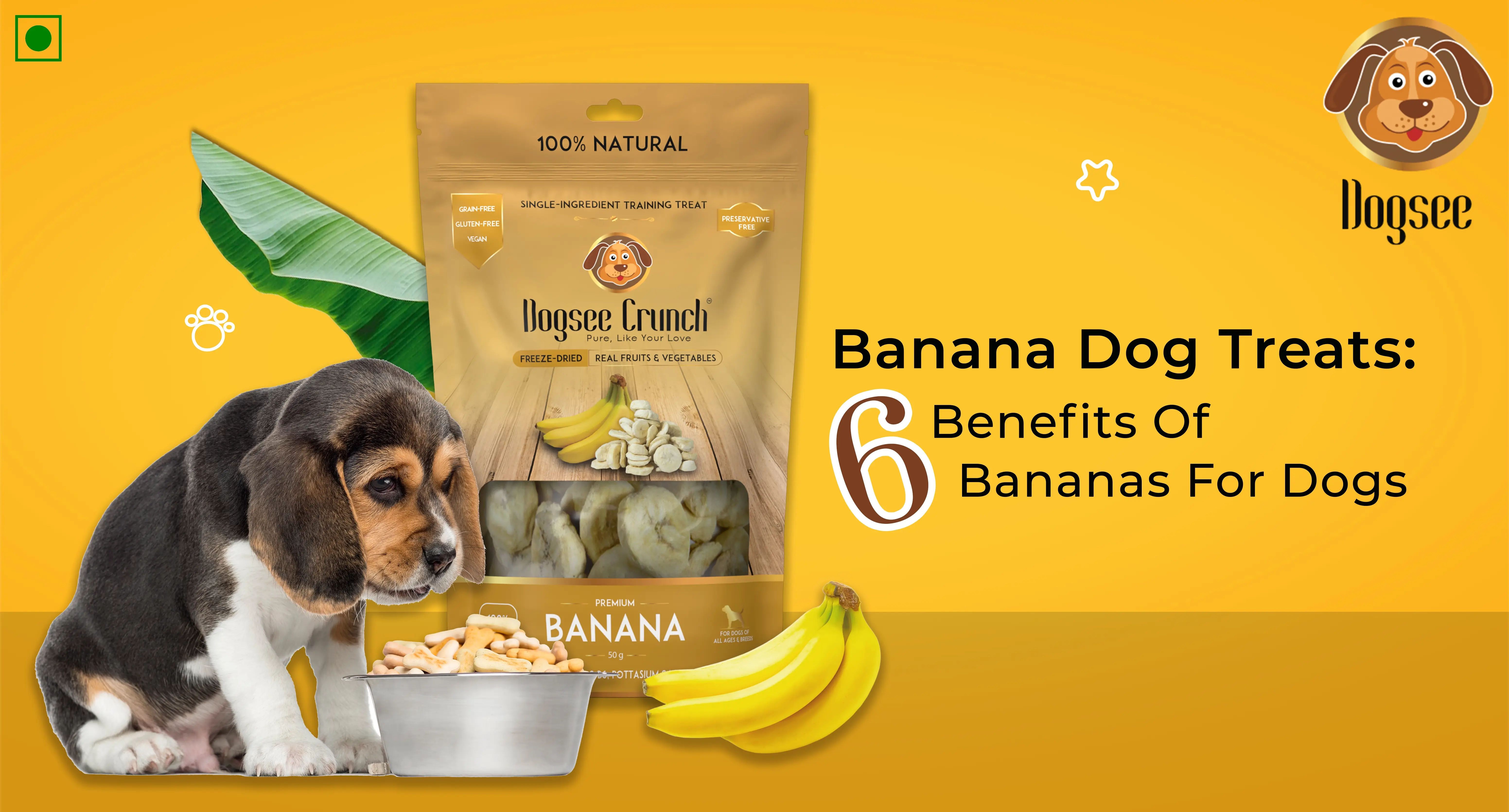 Benefits of Bananas For Dogs