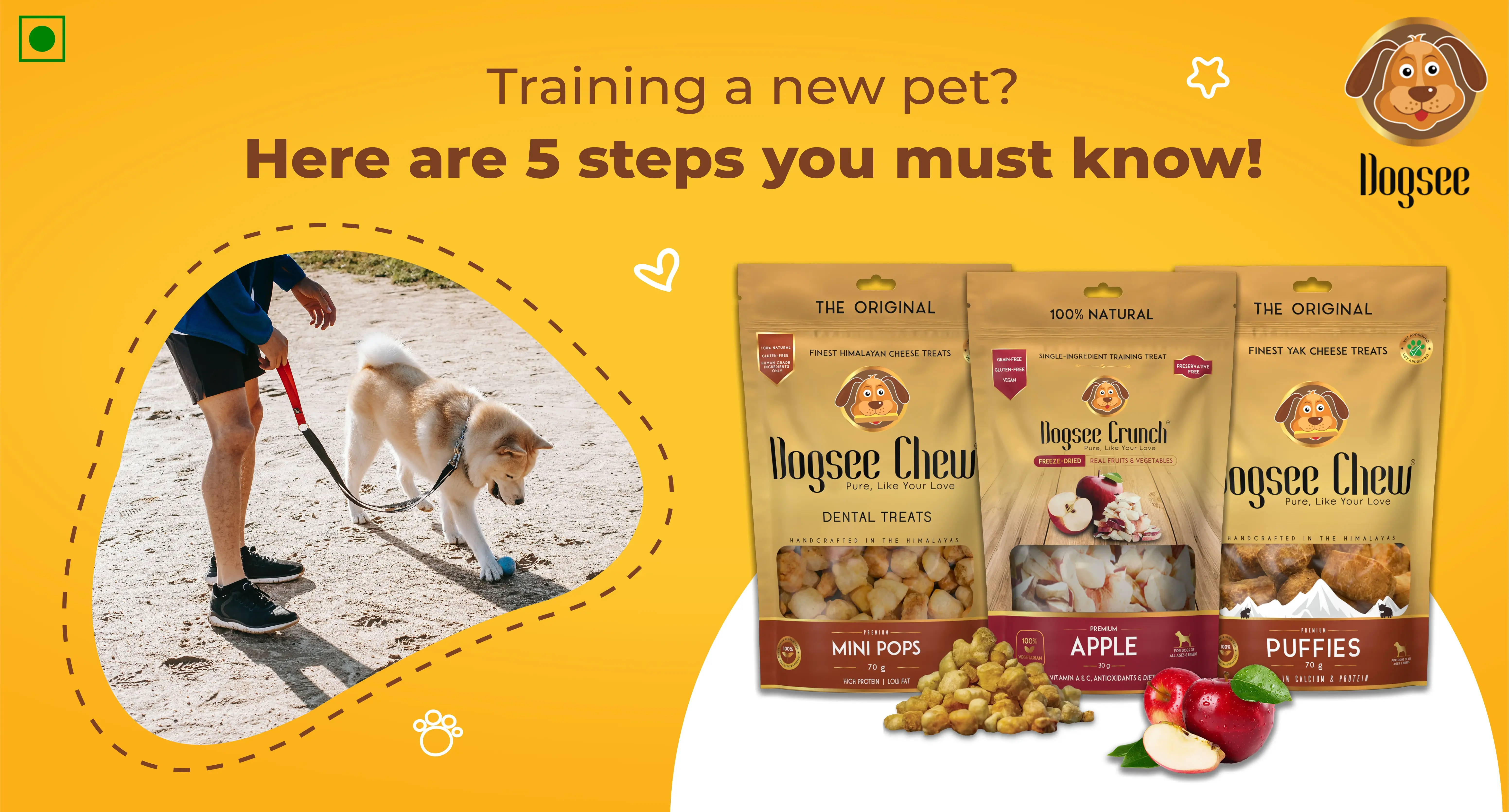 Dog training steps clearance