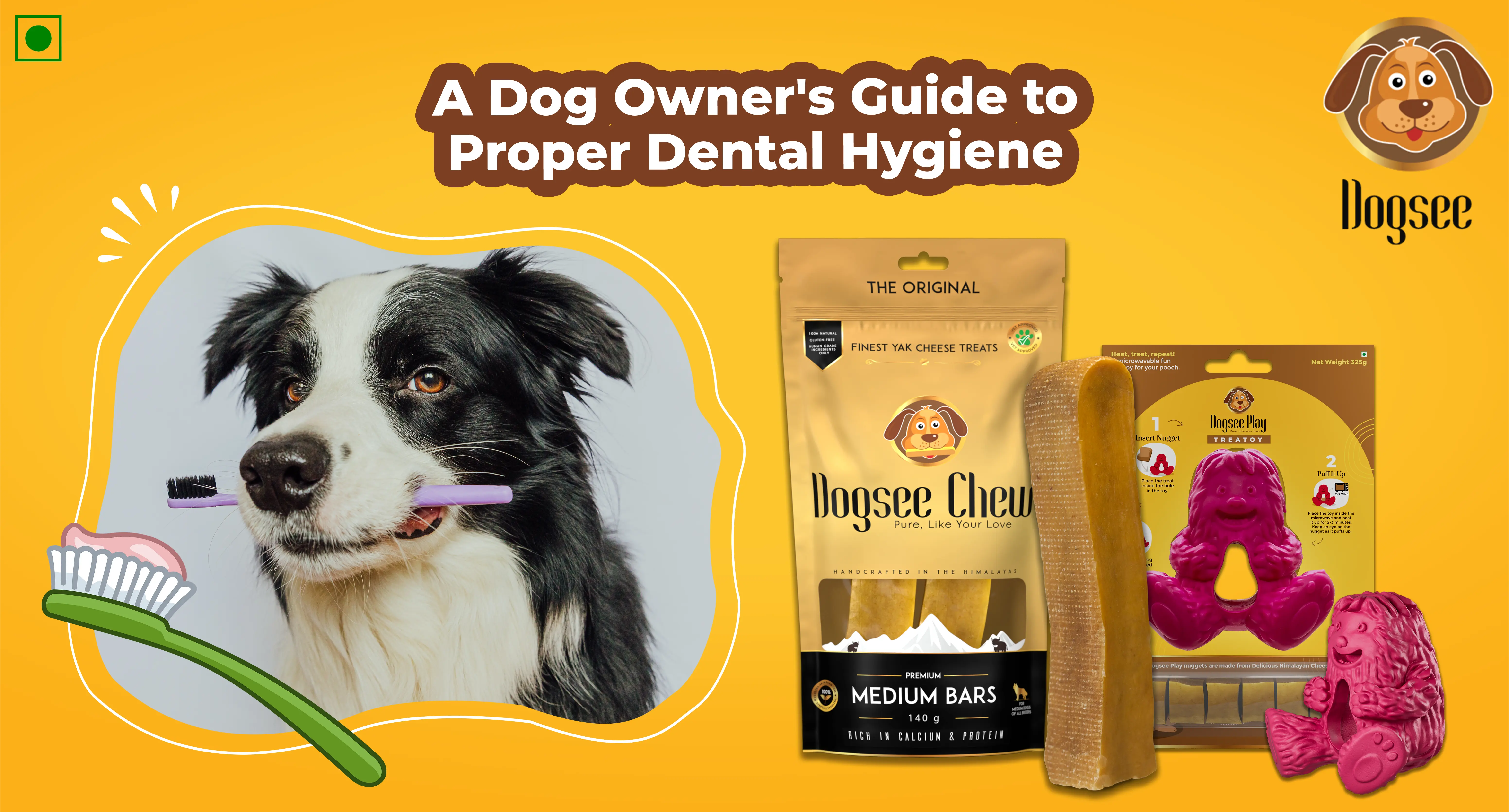 A Dog Owner's Guide to Proper Dental Hygiene