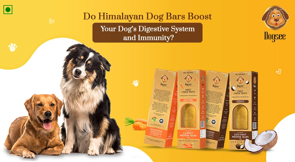 Do Himalayan Dog Bars Boost Your Dog’s Digestive System and Immunity?