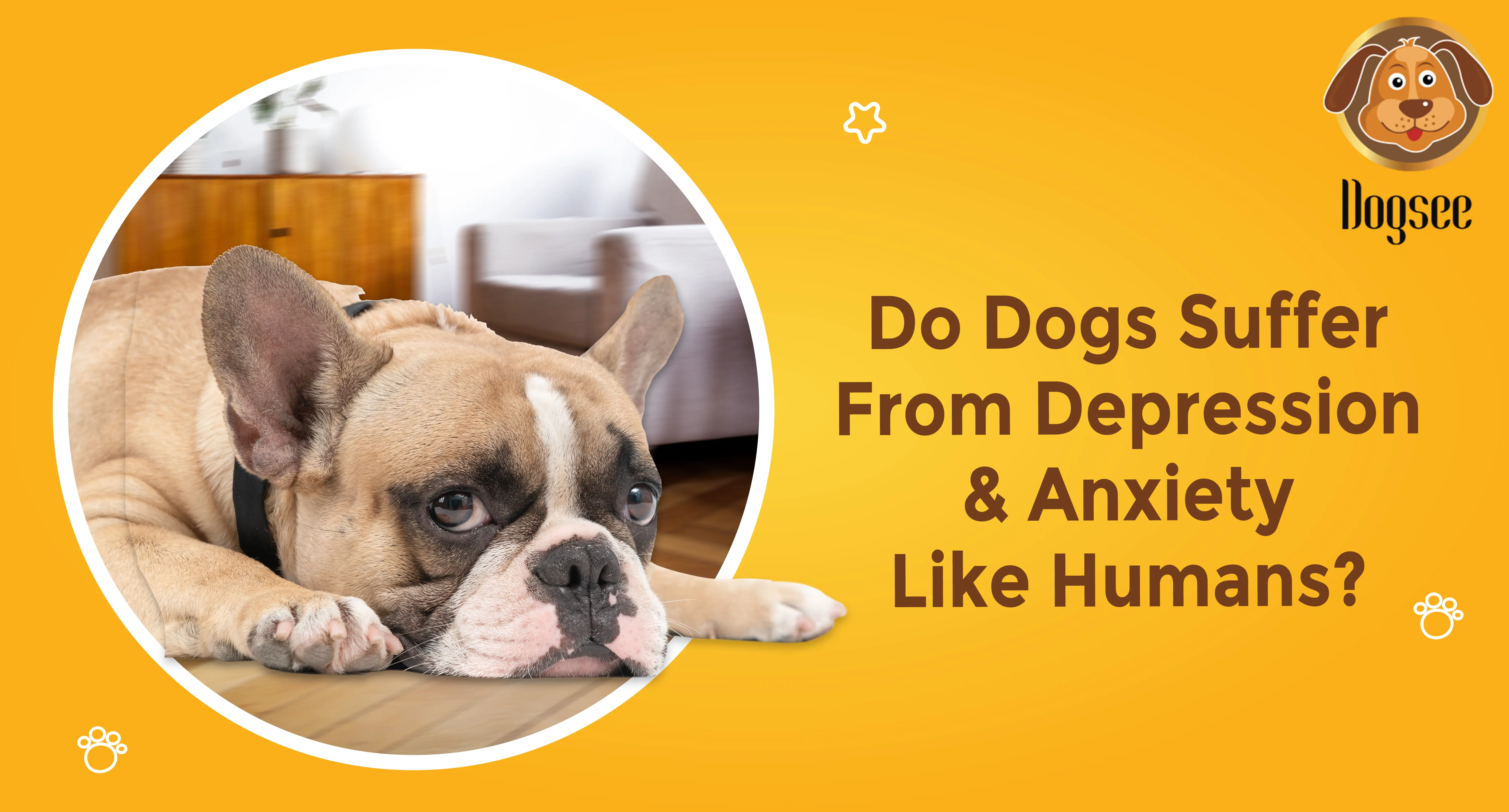 Dogs Suffer From Depression And Anxiety