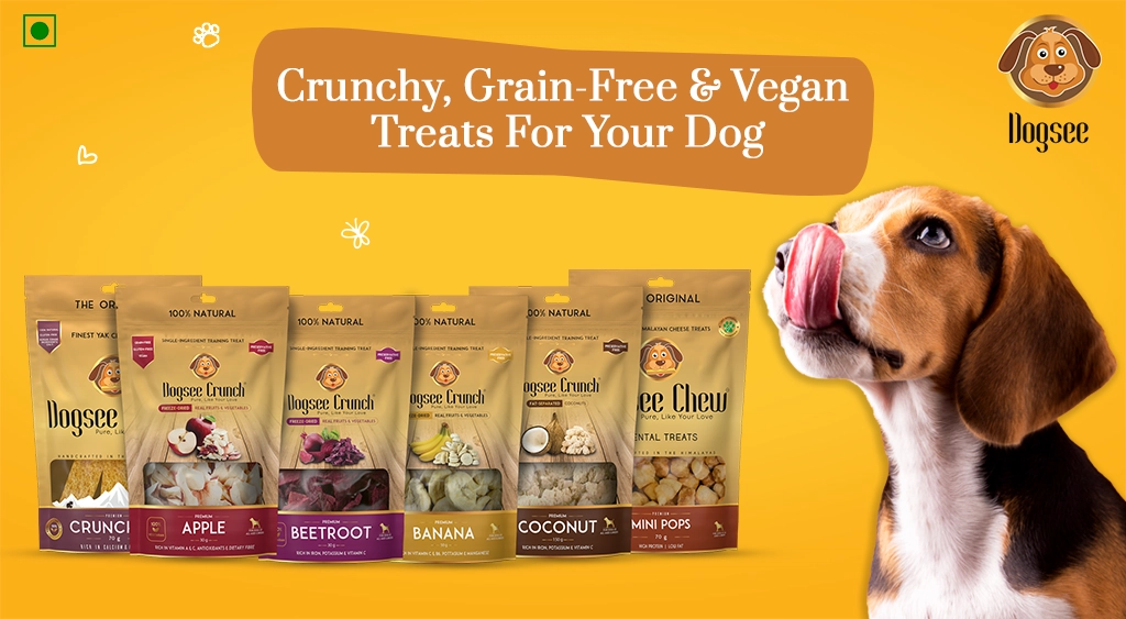 Crunchy, Grain-Free & Vegan Treats For Your Dog