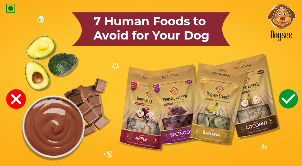 Human Foods to Avoid for Your Dog