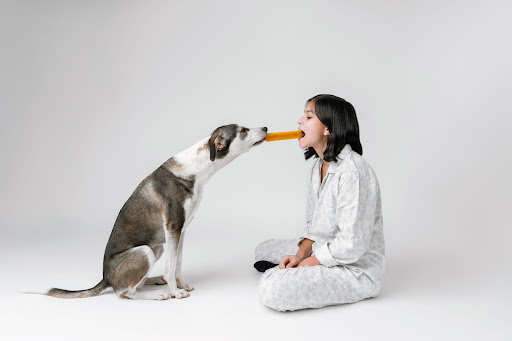 dog and women playing with treat