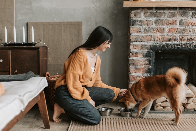 woman feeding a dog at home