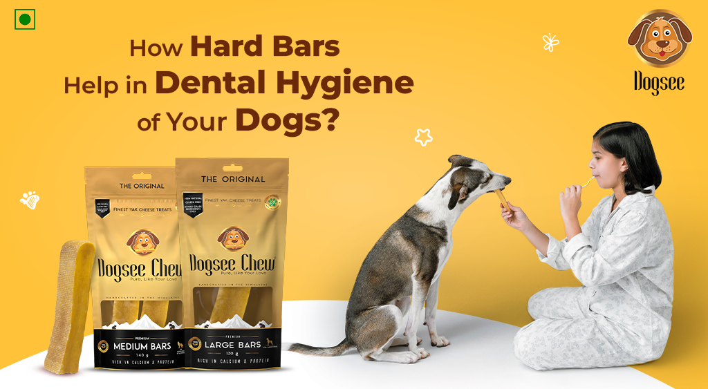 Hard Bars Help in Dental Hygiene of Your Dogs