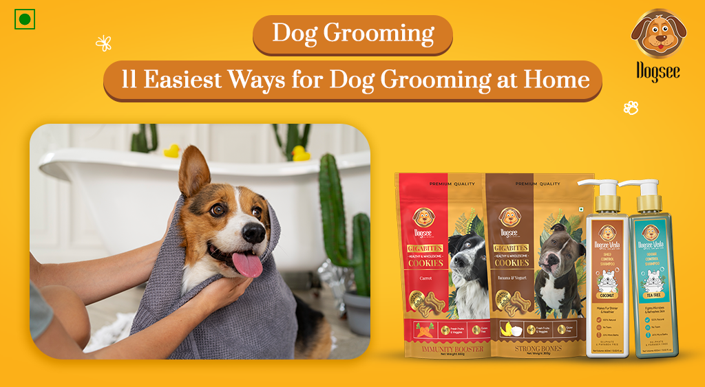 Dog Grooming