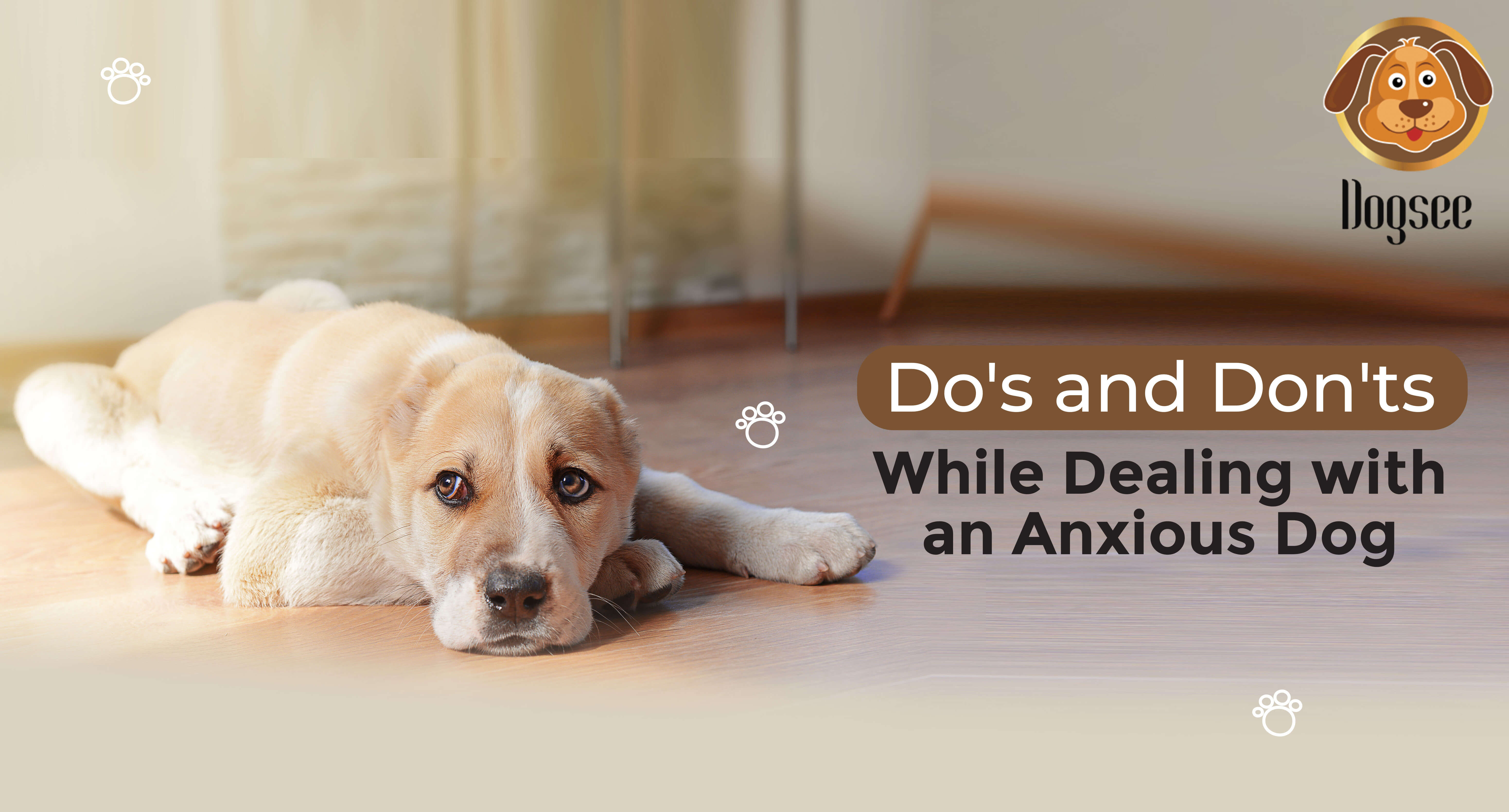 Dos and Don'ts While Dealing with an Anxious Dog