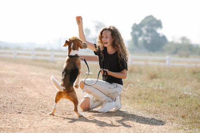 excited woman teaching dog