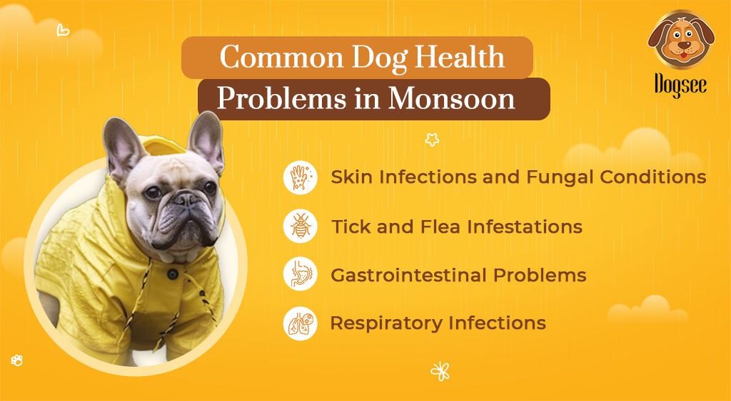 Common Dog Health Problems in Monsoon