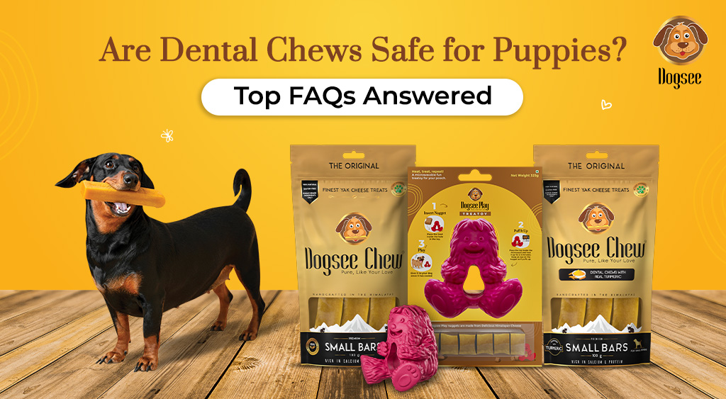  Dental Chews Safe for Puppies
