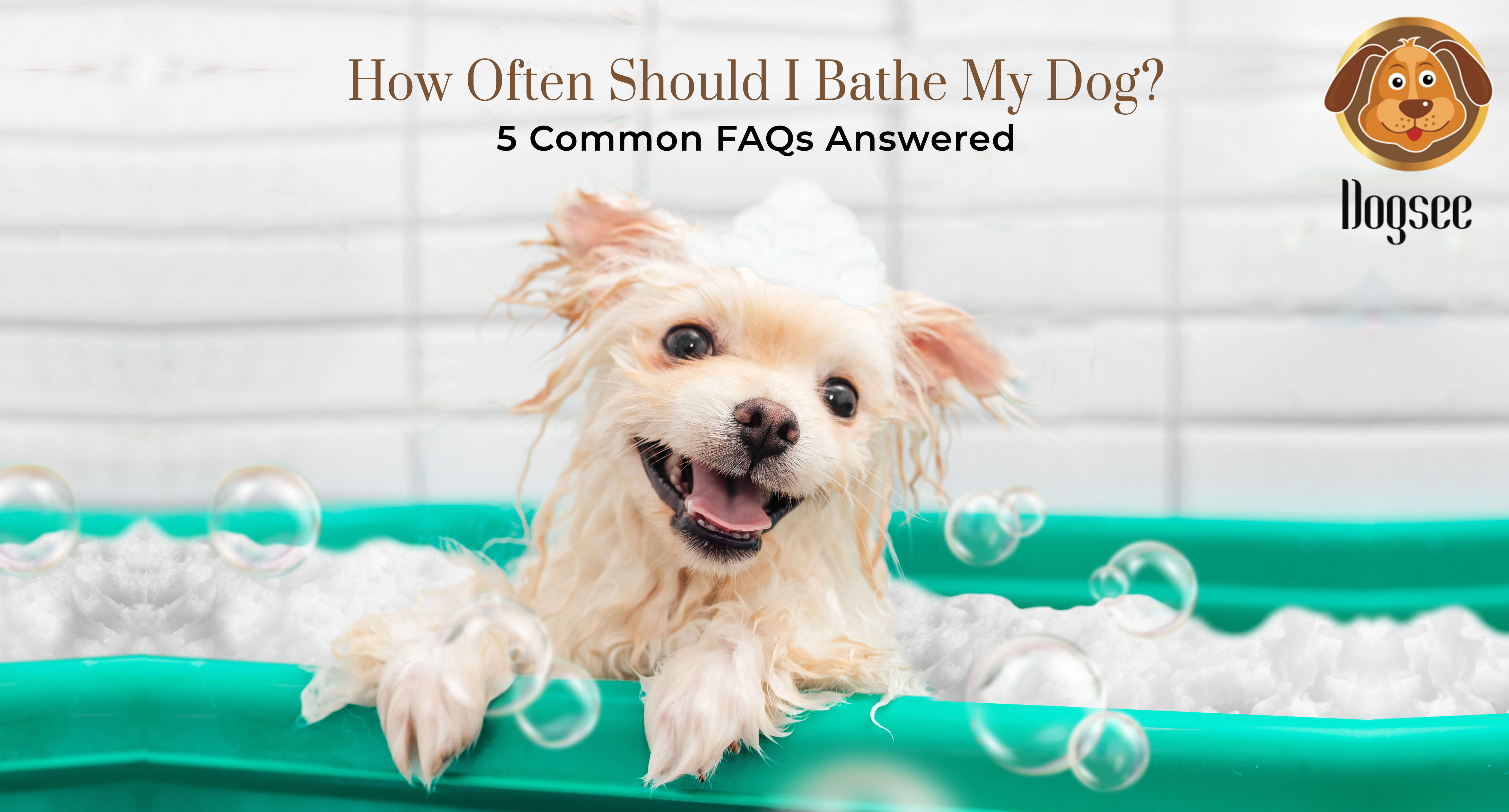 How Often Should I Bathe My Dog