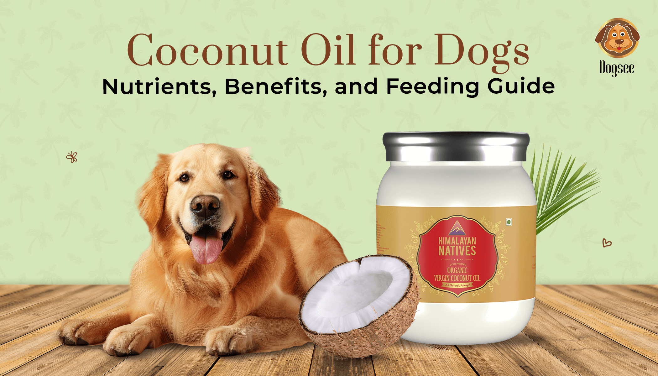 Coconut Oil for Dogs Nutrients Benefits and Feeding Guide Dogsee